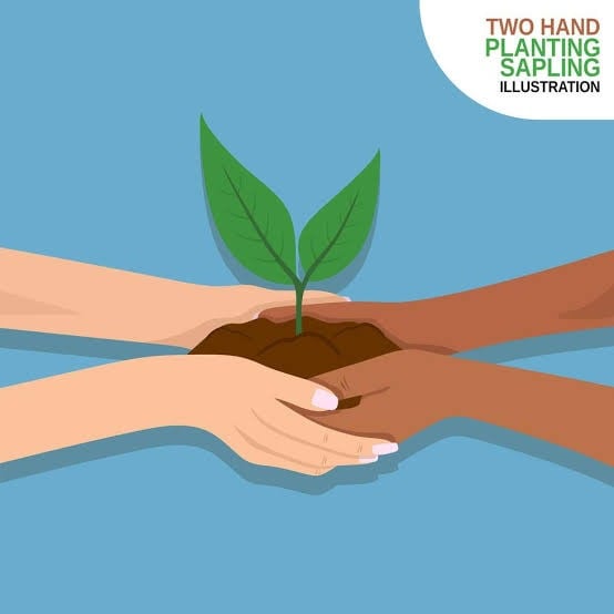 Coconut Traders Matchmaking & Liaison