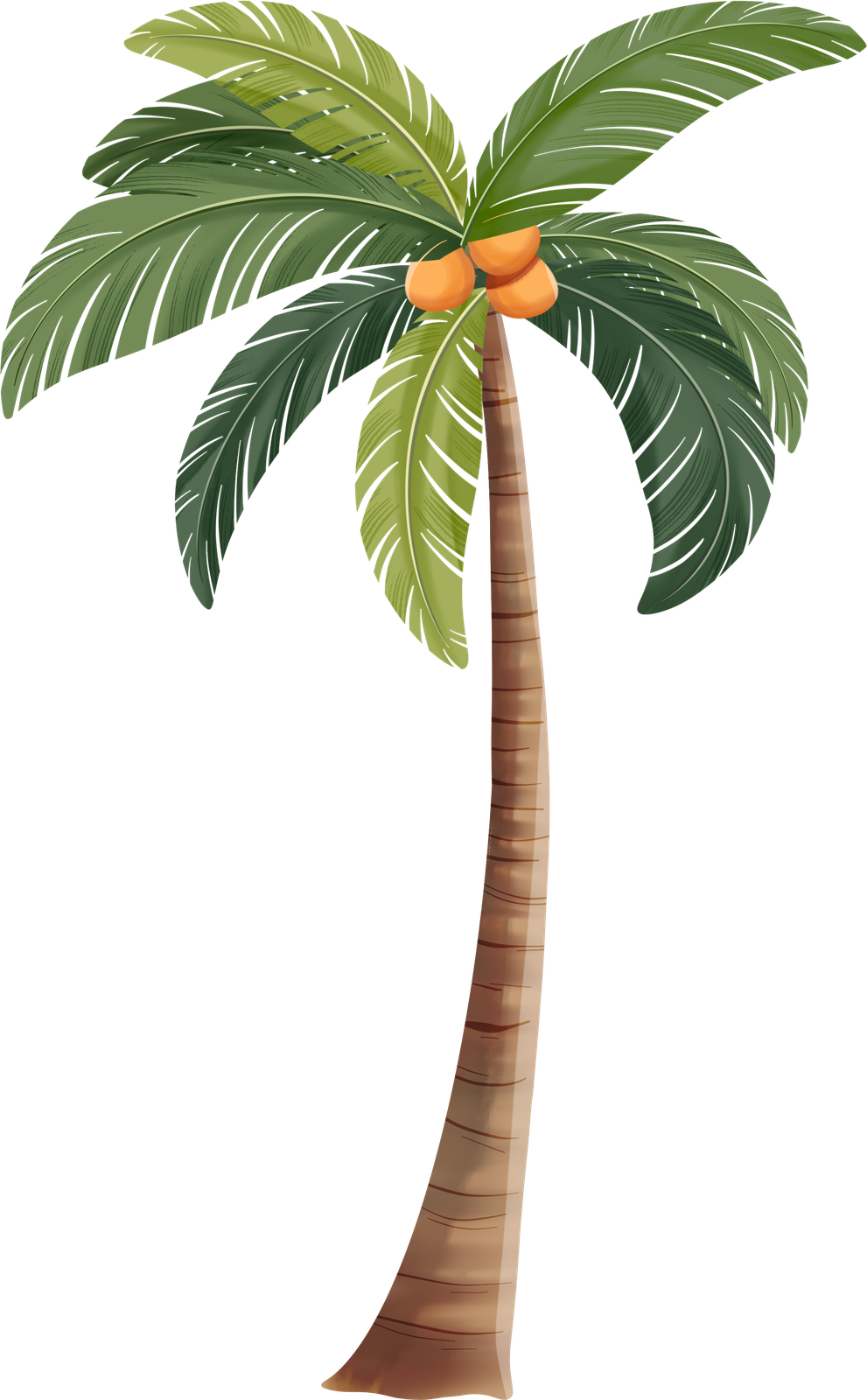 Coconut Farm Operations Background